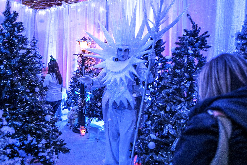 Narina themed event decor